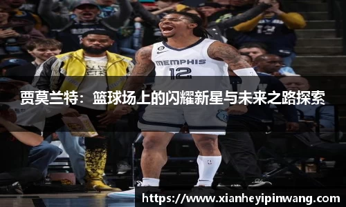 AG庄闲网站